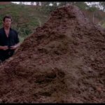 Poo pile