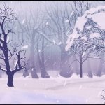 Winter forest background