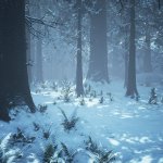 Winter forest aesthetic background