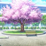 Anime school background with cherry blossom tree