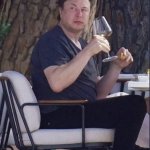 Elon as Wine Mom