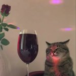 cat with wine