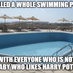 Empty swimming pool | I FILLED A WHOLE SWIMMING POOL; WITH EVERYONE WHO IS NOT A BABY WHO LIKES HARRY POTTER | image tagged in empty swimming pool | made w/ Imgflip meme maker