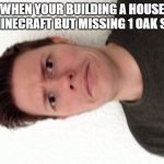 relatable | WHEN YOUR BUILDING A HOUSE IN MINECRAFT BUT MISSING 1 OAK SLAB | image tagged in a random meme | made w/ Imgflip meme maker