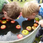 Dunking Apples