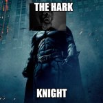 He is a silent guardian,a watchful wickie. A hark knight. | THE HARK; KNIGHT | image tagged in batman hero | made w/ Imgflip meme maker