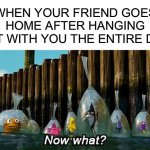 This is the most quiet feeling ever | WHEN YOUR FRIEND GOES HOME AFTER HANGING OUT WITH YOU THE ENTIRE DAY: | image tagged in now what,memes,funny,funny memes,relatable,relatable memes | made w/ Imgflip meme maker