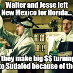 Walter White and Jesse Pinkman | Walter and Jesse left New Mexico for florida... where they make big $$ turning meth back into Sudafed because of the pollen | image tagged in walter white and jesse pinkman,pollen,allergies,meth,breaking bad | made w/ Imgflip meme maker