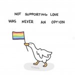 Not supporting love was never an option meme