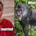 Hindu Marriage Sindoor Mandrill Animal Meme | What the f***! I just got married | image tagged in hindu mandrill meme | made w/ Imgflip meme maker