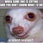 WAT-ER | WHEN SOME ONE IS CRYING AND YOU DON'T KNOW WHAT TO DO | image tagged in u want water | made w/ Imgflip meme maker