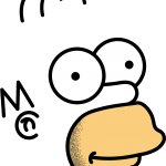 Homer face