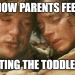 frodo and sam after destroying the ring | HOW PARENTS FEEL; AFTER PUTTING THE TODDLER TO SLEEP | image tagged in frodo and sam after destroying the ring | made w/ Imgflip meme maker