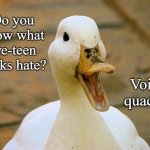 Duck Joke | Do you know what pre-teen ducks hate? Voice quacks. | image tagged in duck,memes | made w/ Imgflip meme maker