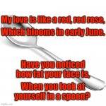 Spoon | My love is like a red, red rose, Which blooms in early June. Have you noticed how fat your face is, When you look at yourself in a spoon? | image tagged in spoon | made w/ Imgflip meme maker