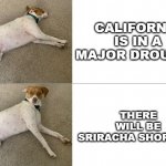 Drought | CALIFORNIA IS IN A MAJOR DROUGHT; THERE WILL BE SRIRACHA SHORTAGE | image tagged in dobby wants | made w/ Imgflip meme maker