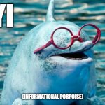 FYI | FYI; (INFORMATIONAL PORPOISE) | image tagged in informational porpoise | made w/ Imgflip meme maker
