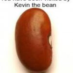Kevin the bean