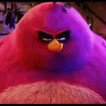 Terrance from Angry Birds movie GIF Template