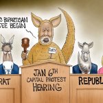 Kangaroo democrats