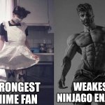 Plz comment,I would appreciate that | STRONGEST ANIME FAN; WEAKEST NINJAGO ENJOYER | image tagged in strongest fan vs weakest fan,ninjago,memes | made w/ Imgflip meme maker