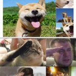 He was an amazing dog and will be remembered throughout history. Please Rest In Peace doge you will always be remembered in our | image tagged in ozon's salute | made w/ Imgflip meme maker