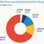 2020 Electorate by race USA