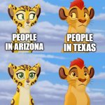 Really can't be complaining, can I? | ME IN OHIO: OMIGOSH IT'S SO HOT I'M BURNING UP OUT HERE! PEOPLE IN ARIZONA; PEOPLE IN TEXAS | image tagged in kion and fuli side-eye,ohio,arizona,texas,summer | made w/ Imgflip meme maker