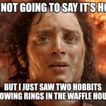 It's Finally Over Meme | I'M NOT GOING TO SAY IT'S HOT... BUT I JUST SAW TWO HOBBITS THROWING RINGS IN THE WAFFLE HOUSE... | image tagged in memes,it's finally over | made w/ Imgflip meme maker