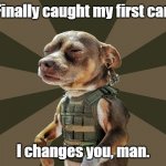 Dog catches Car | Finally caught my first car. I changes you, man. | image tagged in commandog,catch,car,changes you | made w/ Imgflip meme maker