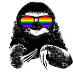 Gay Sloth LGBTQ meme