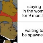 human spawn | staying in the womb for 9 months waiting to be spawned | image tagged in memes,tuxedo winnie the pooh,pregnancy | made w/ Imgflip meme maker