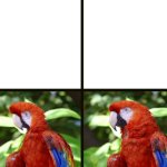 Squished Parrot meme