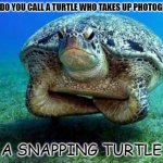 Daily Bad Dad Joke 06/24/2022 | WHAT DO YOU CALL A TURTLE WHO TAKES UP PHOTOGRAPHY; A SNAPPING TURTLE | image tagged in disappointed sea turtle | made w/ Imgflip meme maker