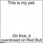 ReD bUlL gIvEs YoU wInGs | This is my pet. Oh frick, it overdosed on Red Bull | image tagged in meme remover,red bull,gives you wings,overdose | made w/ Imgflip meme maker