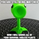 Always watching | YOU ARE STILL BEING WATCHED; NOW I WILL SHOVEL ALL OF YOUR SURVIVAL ENDLESS PLANTS | image tagged in pea stare | made w/ Imgflip meme maker