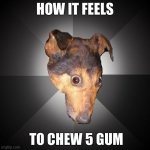 How it really feels | HOW IT FEELS; TO CHEW 5 GUM | image tagged in memes,depression dog,5 gum | made w/ Imgflip meme maker