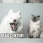 bad joke dog cat | WHAT DO YOU CALL THE MIDDLE OF A GRAVEYARD? DEAD CENTER! | image tagged in bad joke dog cat,graveyard | made w/ Imgflip meme maker