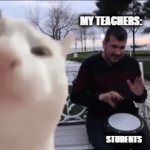 lmao | MY SCHOOL:; MY TEACHERS:; STUDENTS | image tagged in gifs,cats | made w/ Imgflip video-to-gif maker