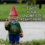 Gnome | I GOT YOUR GNOMESTE RIGHT HERE. | image tagged in gnome | made w/ Imgflip meme maker