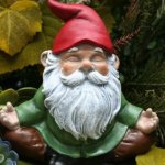 Gnomaste meme