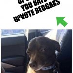 7 | UPVOTE IF YOU HATE UPVOTE BEGGARS; HMM | image tagged in wait a minute | made w/ Imgflip meme maker