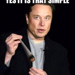 musk | YES IT IS THAT SIMPLE | image tagged in musk | made w/ Imgflip meme maker