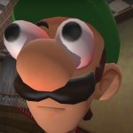 Horny Luigi