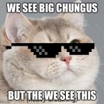 Fat The Cat | WE SEE BIG CHUNGUS BUT THE WE SEE THIS | image tagged in memes,heavy breathing cat | made w/ Imgflip meme maker