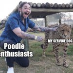 Post Malone Cheetah | MY SERVICE DOG; Poodle  enthusiasts | image tagged in post malone cheetah,poodle,service dog | made w/ Imgflip meme maker