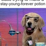 I Have No Idea What I Am Doing Dog | Me in science class trying to make a stay-young-forever potion | image tagged in memes,i have no idea what i am doing dog | made w/ Imgflip meme maker