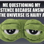 Meme Frog | ME QUESTIONING MY EXISTENCE BECAUSE ANSWER TO THE UNIVERSE IS HAIRY ASS | image tagged in meme frog | made w/ Imgflip meme maker