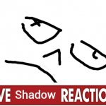 Live Shadow Reaction