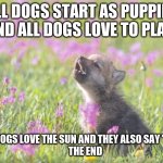 Puppie World | ALL DOGS START AS PUPPIES AND ALL DOGS LOVE TO PLAY; ALL DOGS LOVE THE SUN AND THEY ALSO SAY "YAY  
    THE END | image tagged in memes,baby insanity wolf | made w/ Imgflip meme maker